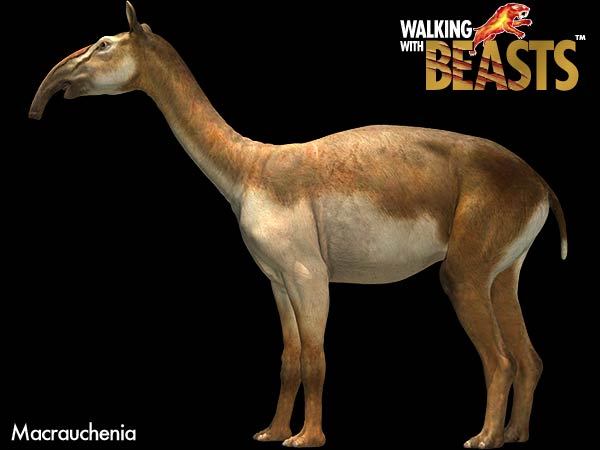 ΰ�ײ�����