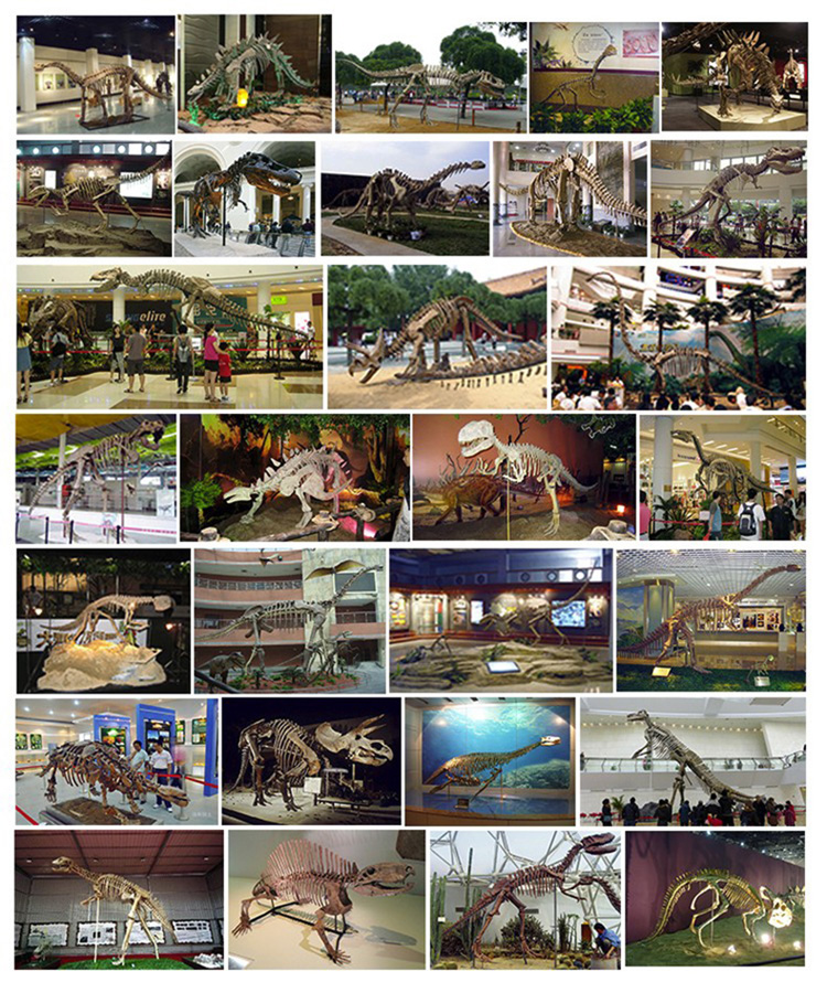 ΰ�ײ�����