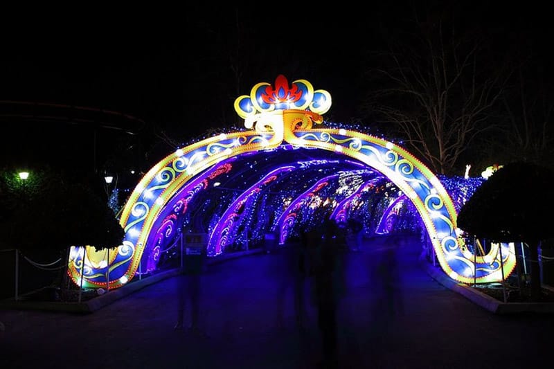 2020���괺��Ԫ���ʵ�����-���ͻ��⻨��չ��-�Թ��ƻ��ͼ����