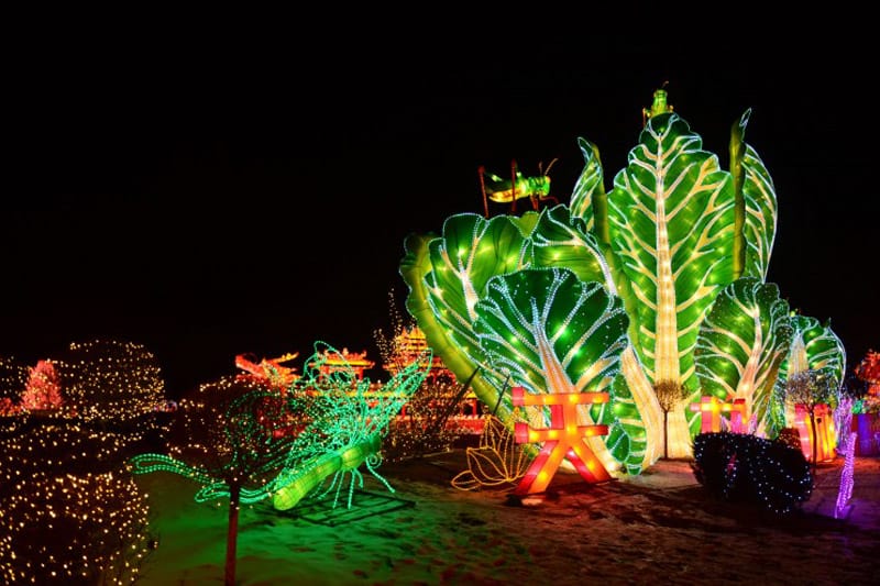 2020�����´��ʵ�-Ԫ�����ͻ���