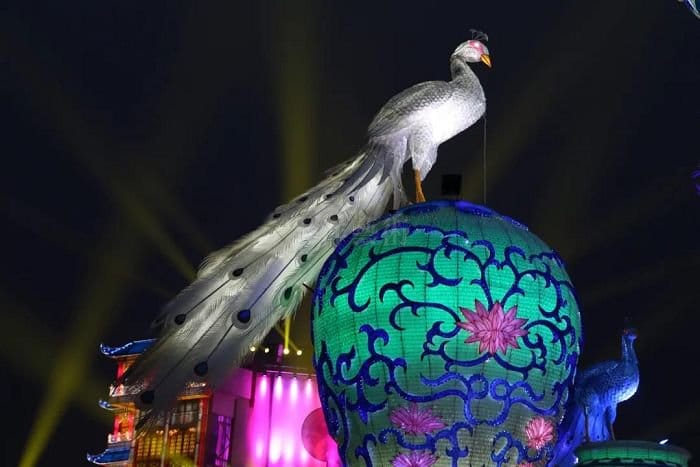 ����ֽ�����Ĳʵ�