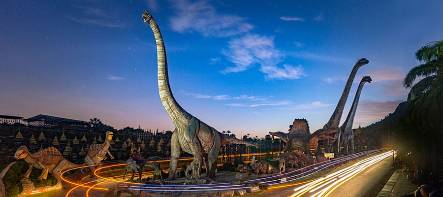 �������ⰸ��