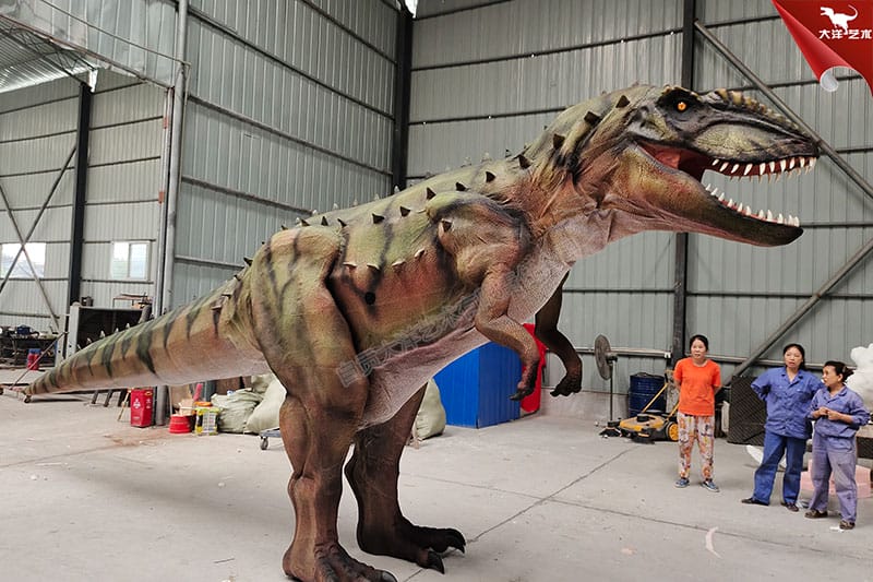 5�����������Ƥ��